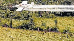 Un avión fumiga con glifosato una plantación.