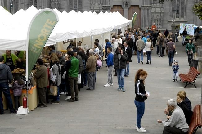 FERIA DEL NORTE