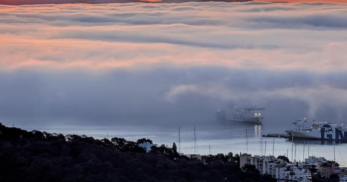Eindrucksvolle Nebelfelder am Montagmorgen (23.2.) am Hafen von Palma.