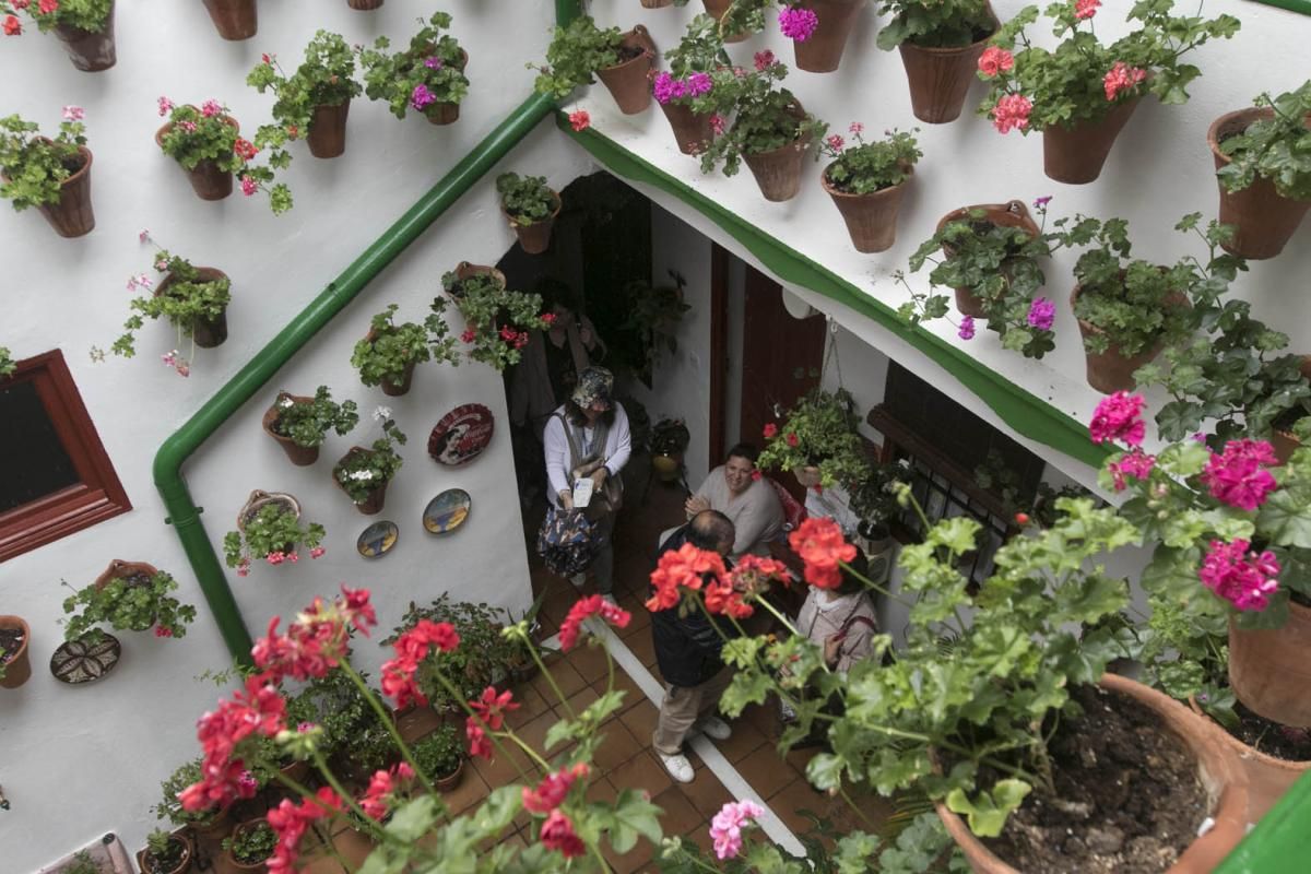 Fotogalería / Descubriendo los patios de la ruta del Realejo y San Andrés