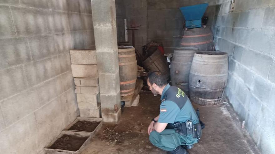 Seprona denuncia por maltrato animal a una mujer de Cangas que tenía en su casa más de 20 gatos, muchos guardados en un zulo