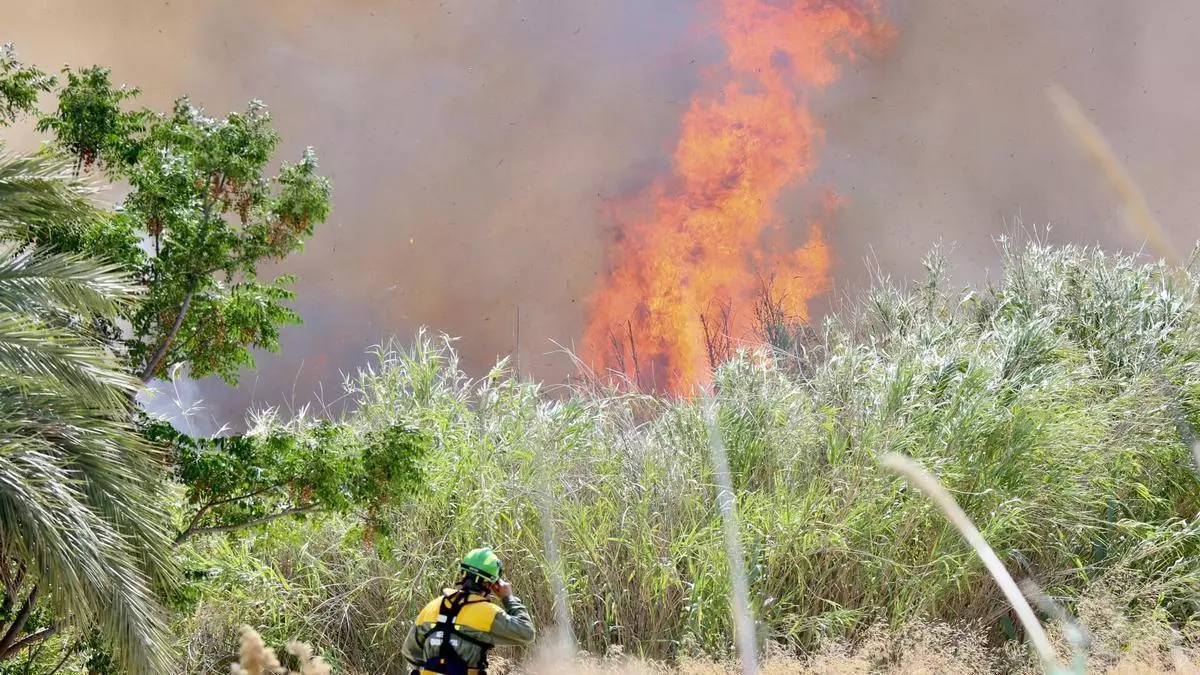 Bomberos luchan contra las llamas en el pavoroso incendio de la mota del río de Murcia