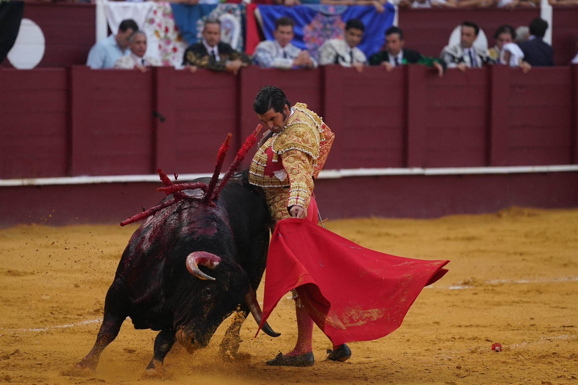 Toros en Málaga I Quinta corrida de abono de la Feria 2023