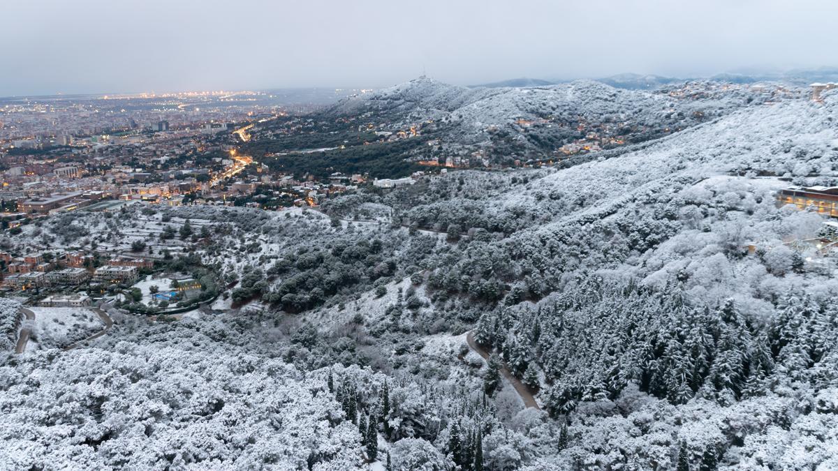 Collserola, nevado.