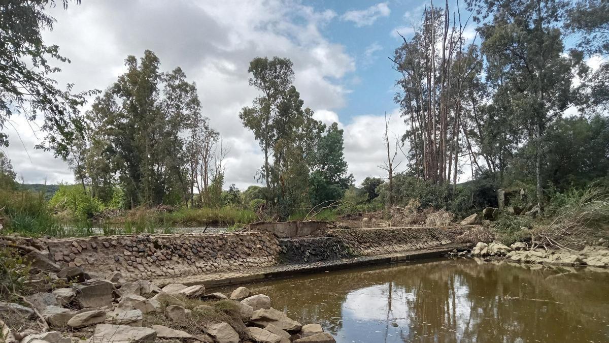 Mejoras llevadas a cabo en el río Ardila.