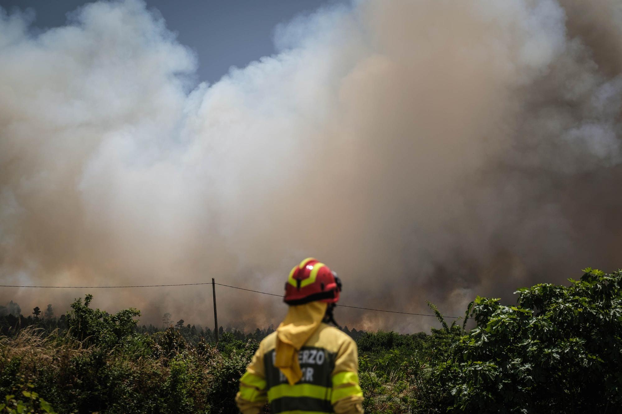 El incendio forestal de Tenerife, en imágenes