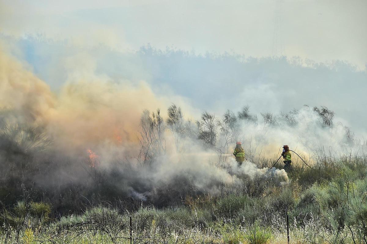Fotogalería | Imágenes del incendio forestal en Plasencia de este jueves Fotogalería | Imágenes del incendio forestal en Plasencia de este jueves