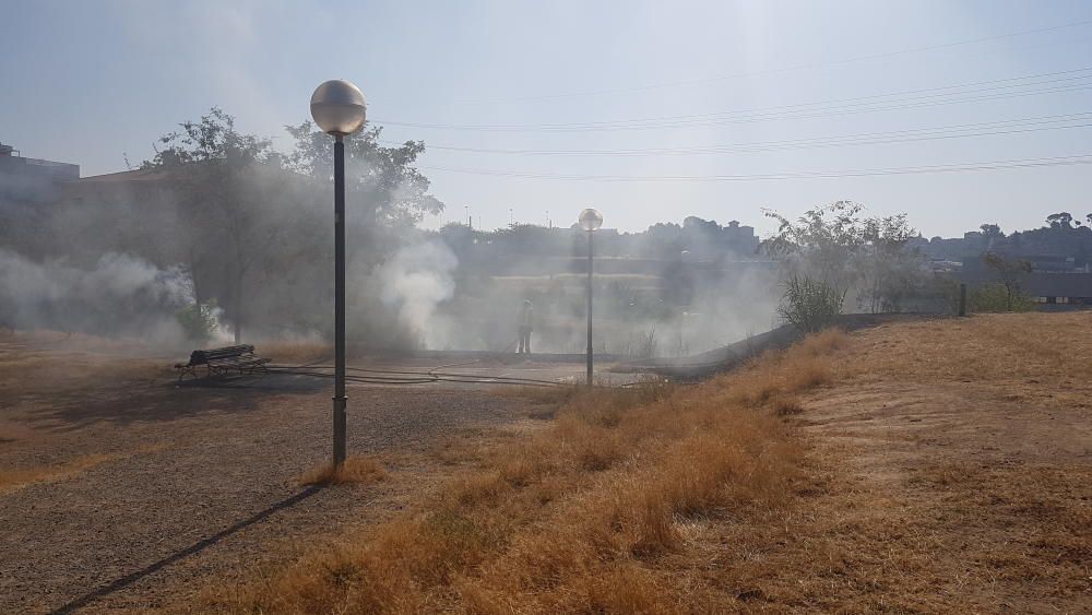 Un incendi crema matolls al polígon dels Dolors