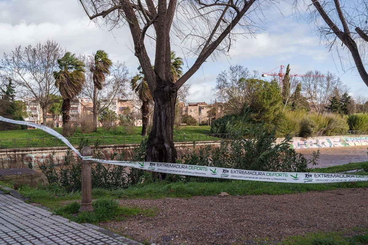 Efectos del temporal Leonardo a su paso por Mérida