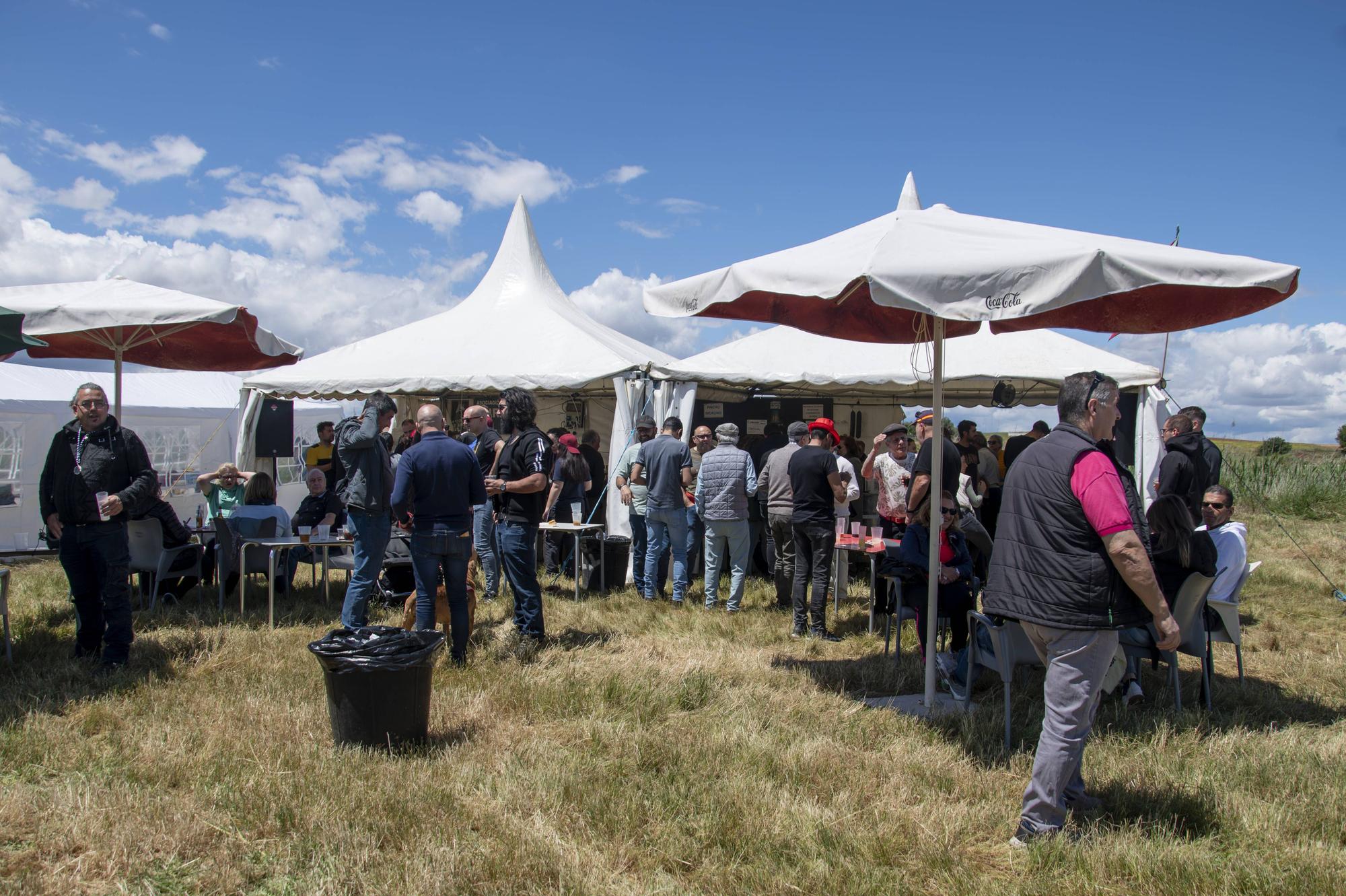 ZAMORA. Romeria Bamba del Vino 2024.