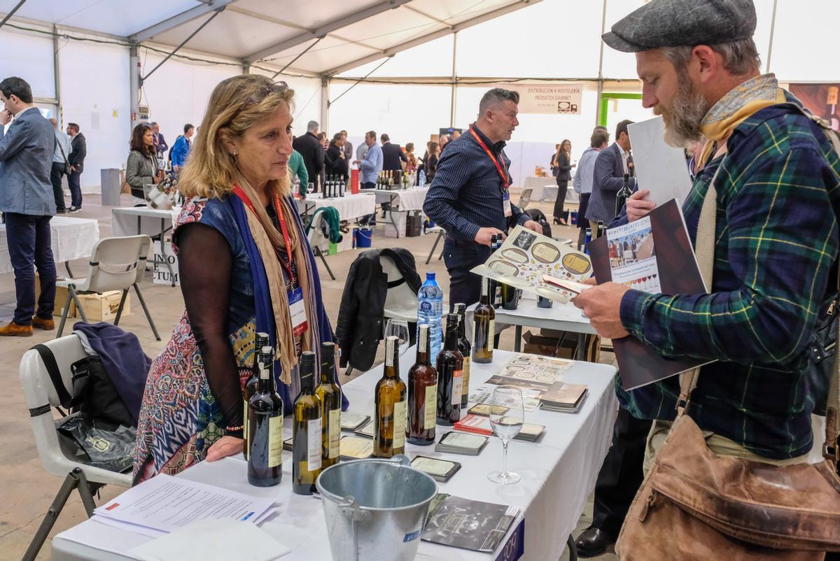 Contacto directo con representantes de las bodegas en Viniterraneus.