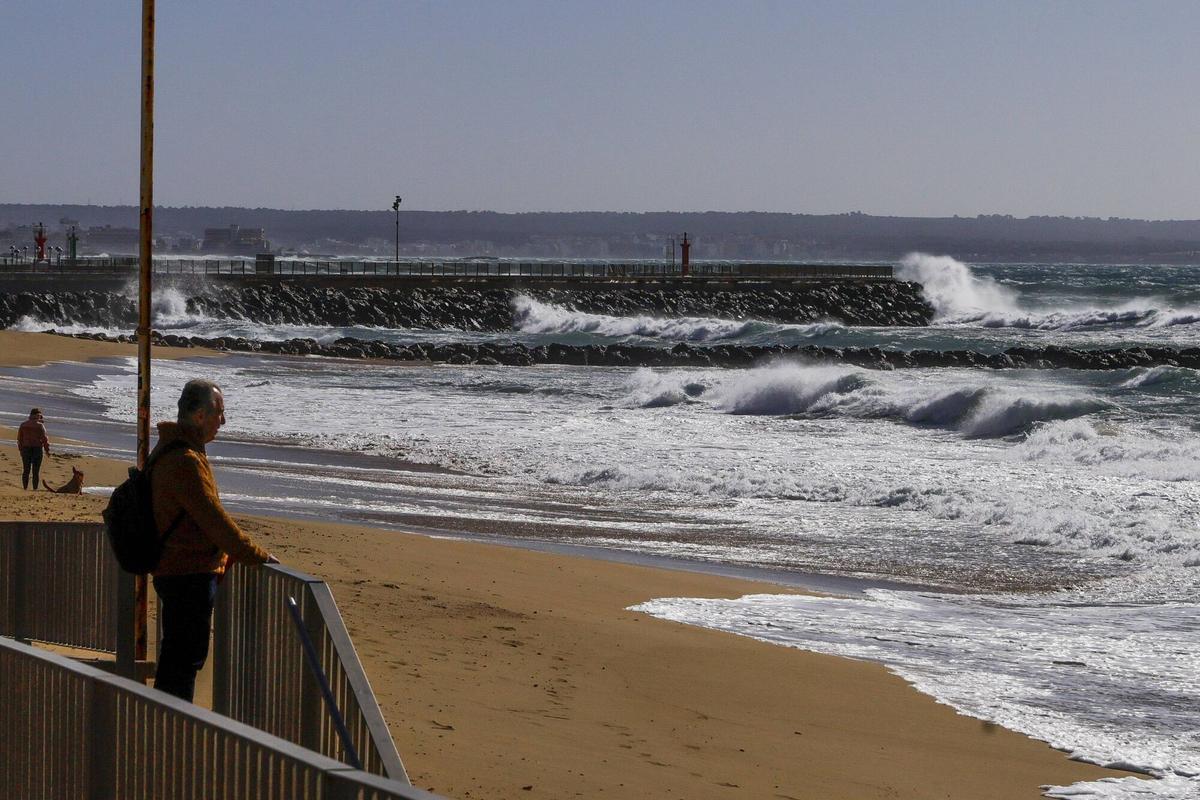 Temporal de viento en Palma