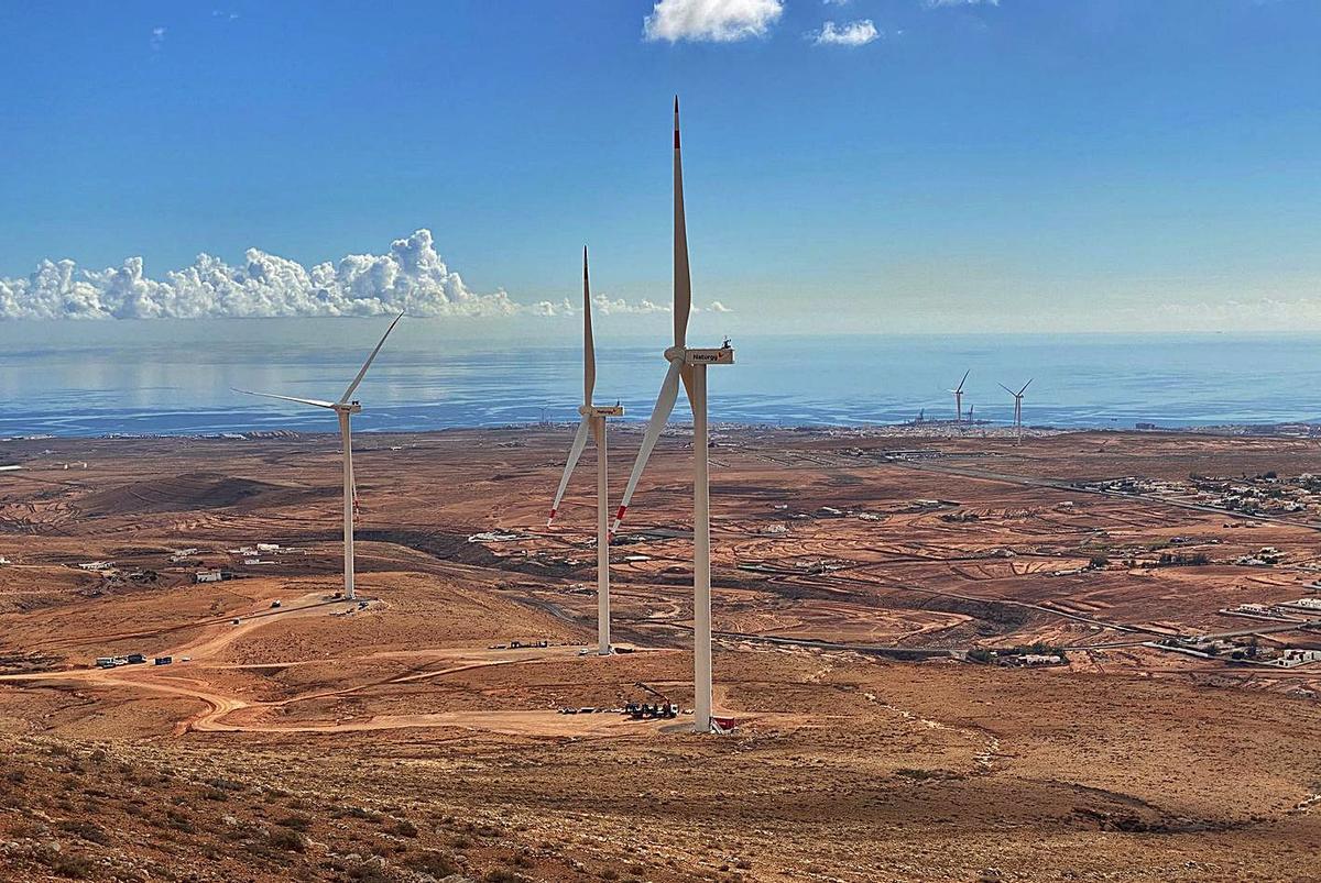 Algunos de los ocho aerogeneradores que conforman el Parque Eólico Puerto del Rosario. | | LP/DLP