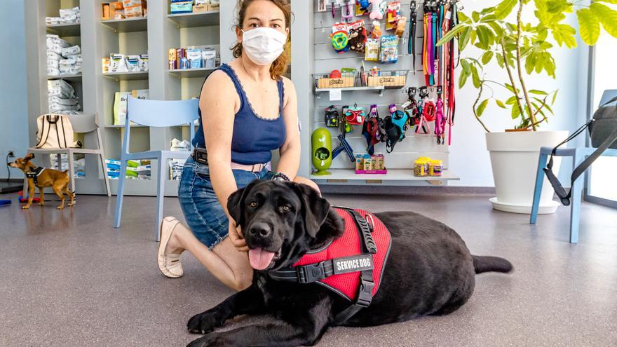 Igualdad acredita a los primeros perros de alerta sanitaria