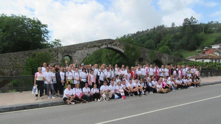 La VII Marcha solidaria Rosa Palo, de Cangas a Covadonga, el 12 de mayo