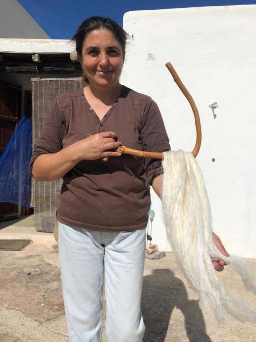 El picudo negro es un pariente del picudo rojo que ya ha causado estragos en Almería.