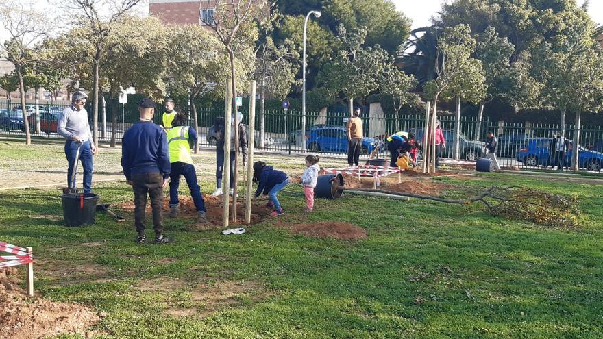 Unas 80 personas siembran árboles en el parque de ses Sorts de Palma