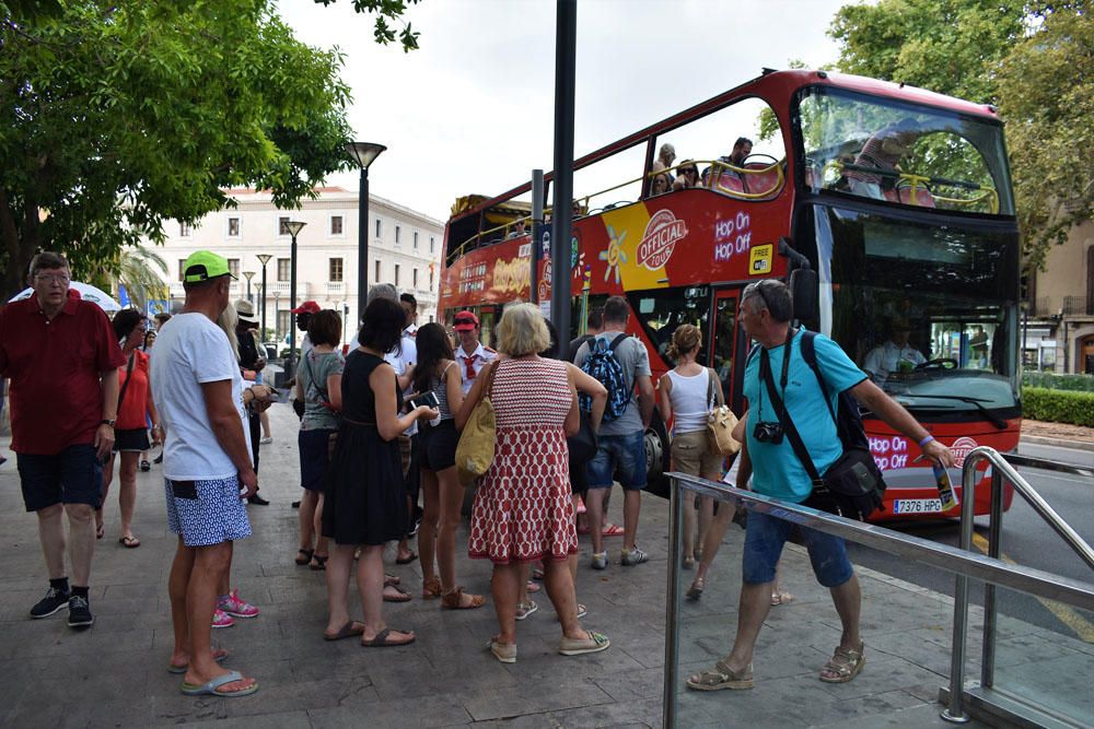 Wie oft bei bewölktem Himmel in der Hauptsaison, strömten auch am Dienstag (25.7.) zahlreiche Urlauber in die Balearen-Hauptstadt zum Sightseeing.