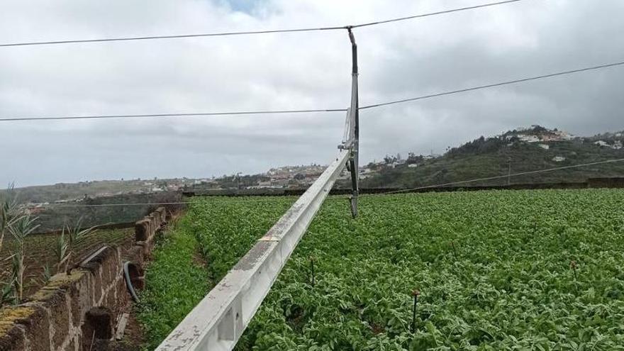 Una de las torres de Endesa afectadas por el viento de la borrasca Celia en Tenerife.