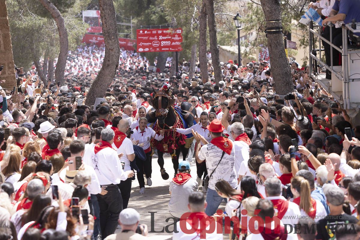 Así se ha vivido la carrera de Los Caballos del Vino en Caravaca