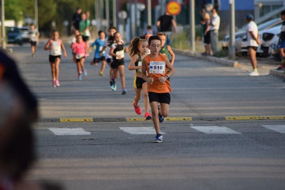 Carrera Urbana Hoya del Campo