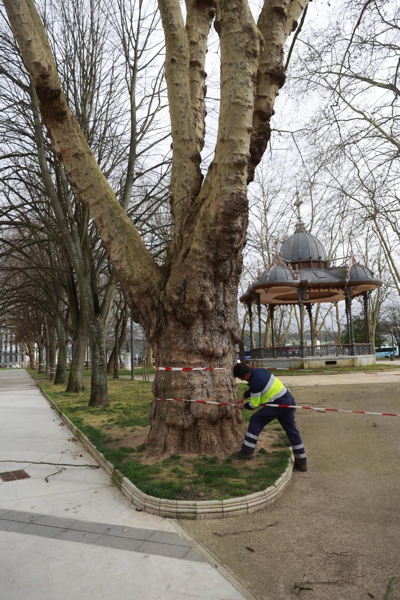 EN IMÁGENES: Los efectos del temporal en la comarca de Avilés