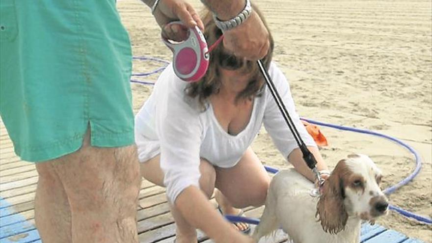 Benicàssim evalúa dónde ubicar la playa para perros