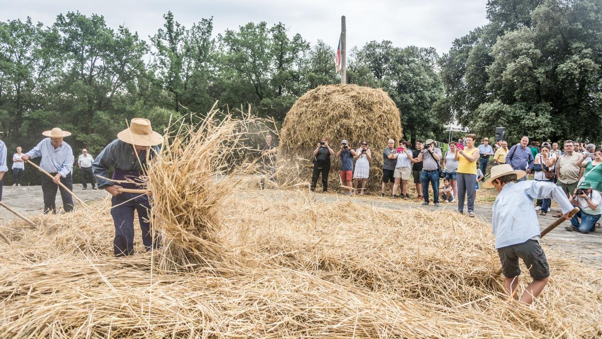 Avià dedicarà la festa del Segar i el Batre a formar nous segadors