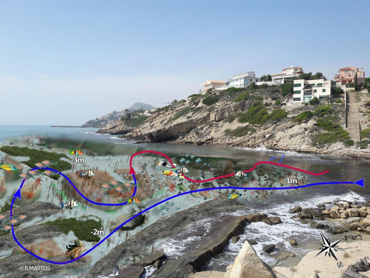Ruta de snorkel en cala Palmeretes