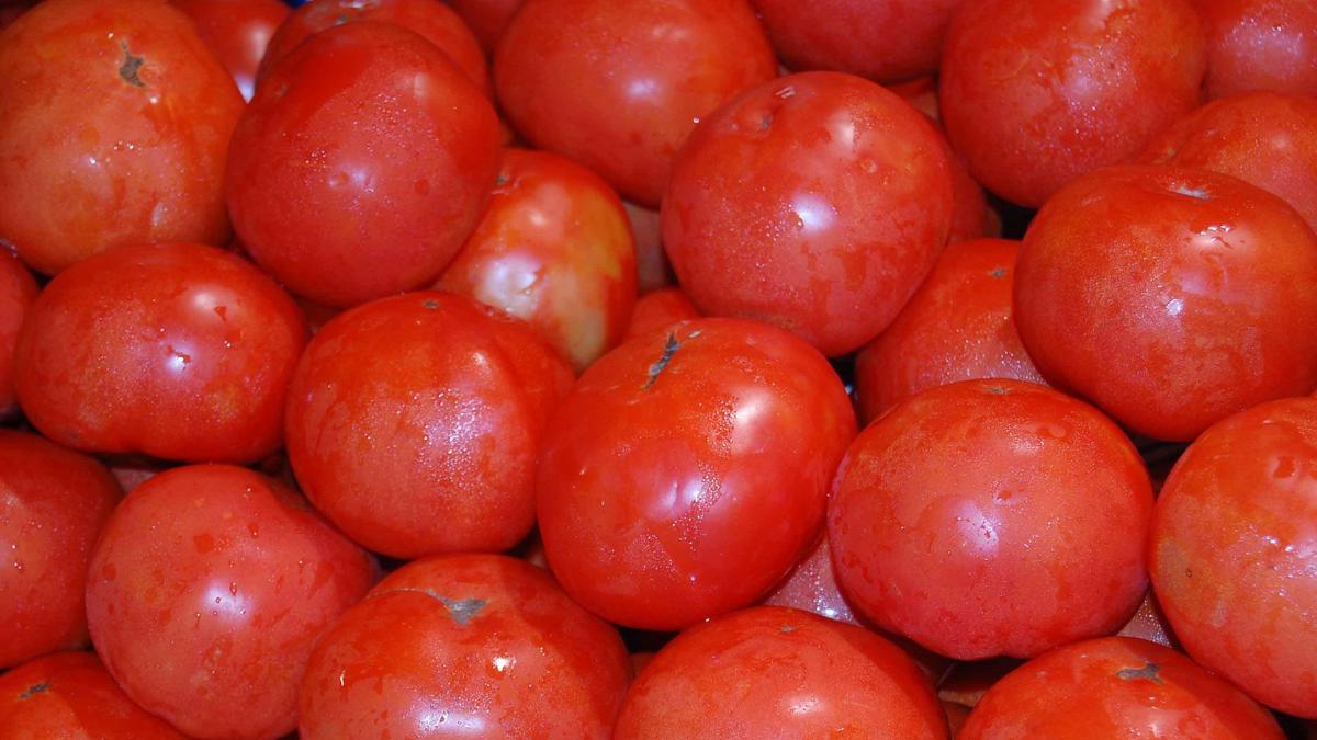 Imagen de recurso de tomates.