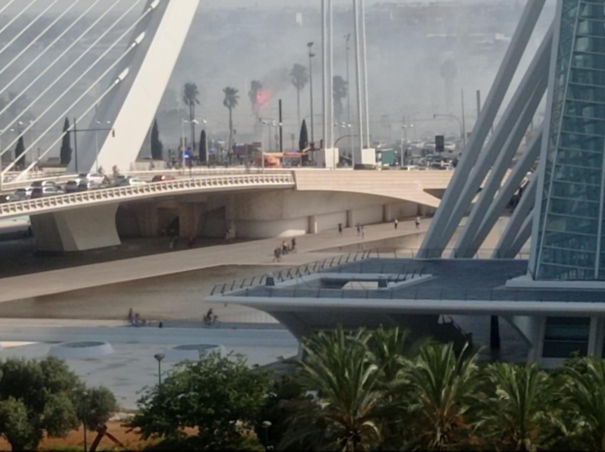 Un aparatoso incendio junto al Oceanogràfic y la autovía del Saler obliga a cortar el tráfico de entrada y salida a la ciudad