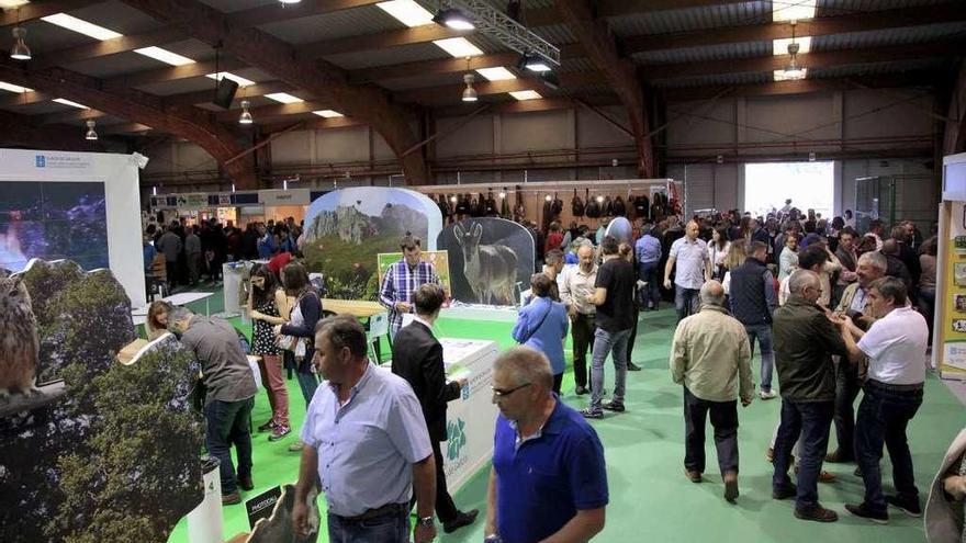 Pabellón de Fecap, en la anterior edición de la Semana Verde de Galicia.