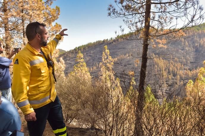 Quemas prescritas por el Cabildo de Gran Canaria