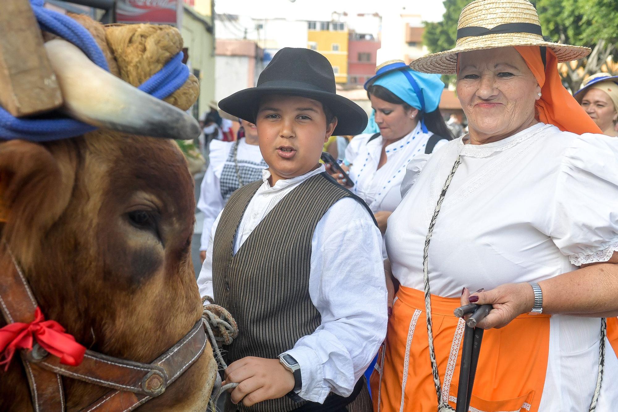 Romería de San Juan en Telde