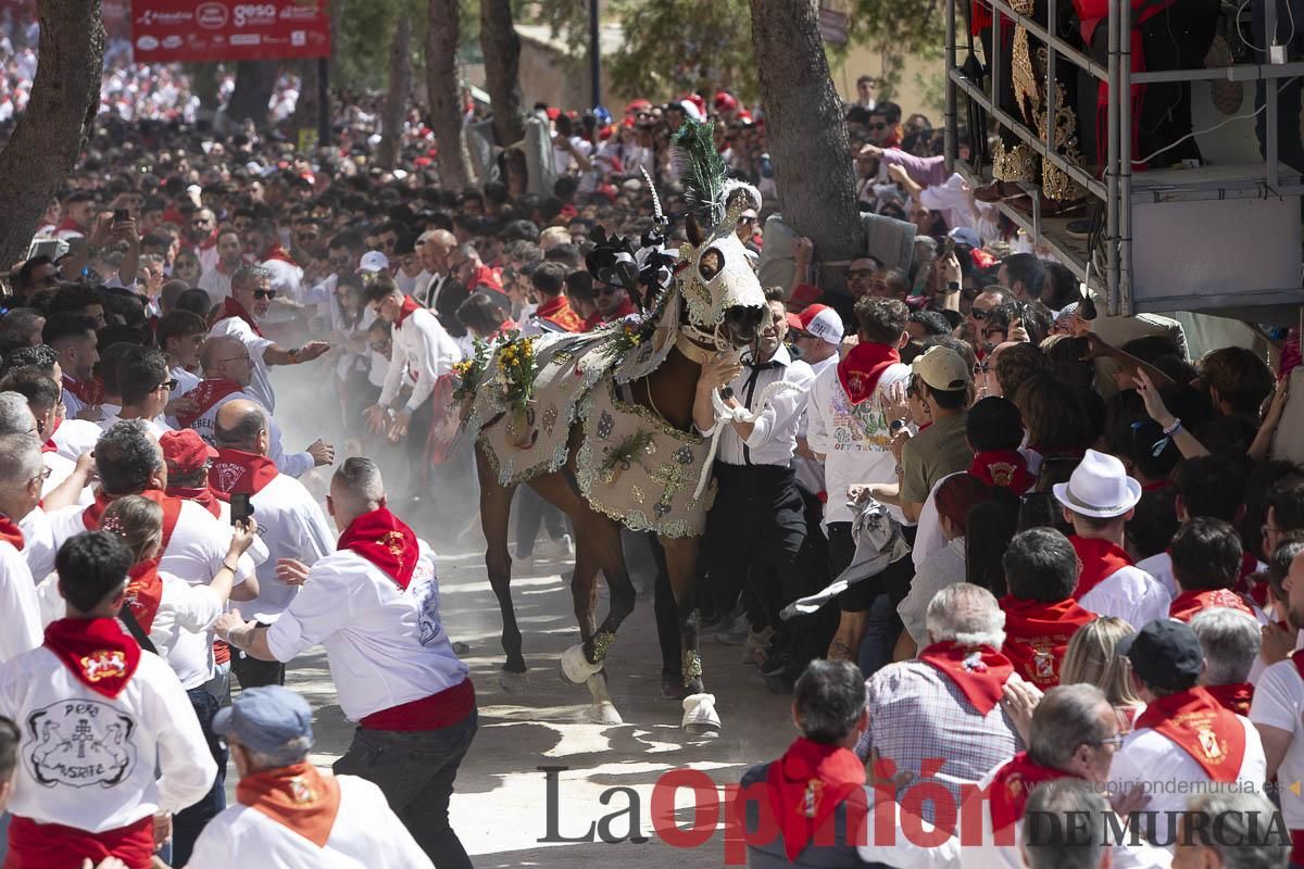 Así se ha vivido la carrera de los Caballos del Vino en Caravaca