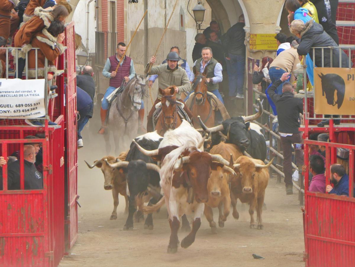 Encierros taurinos con motivo del Carnaval en Trujillo
