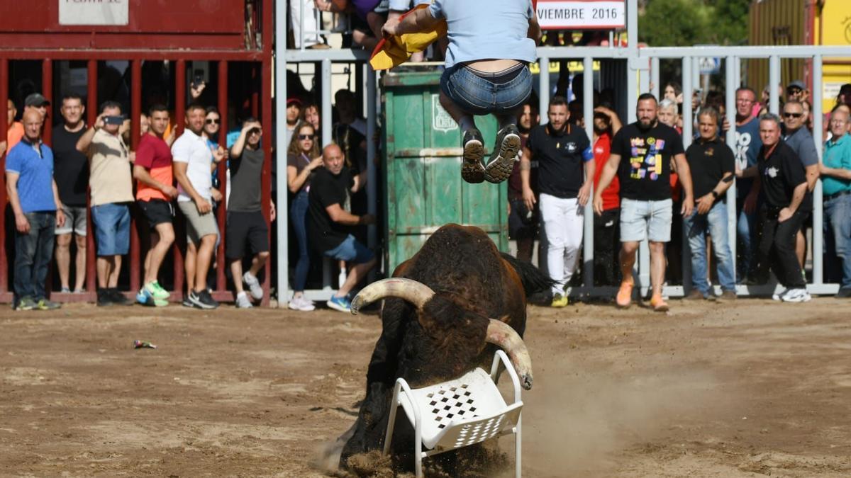 Un 'rodaor' espera al toro sentado en una silla y lo salta por encima