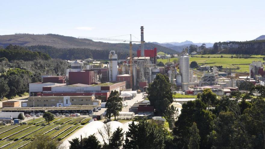 Ence apuesta por la bioenergía y los biomateriales