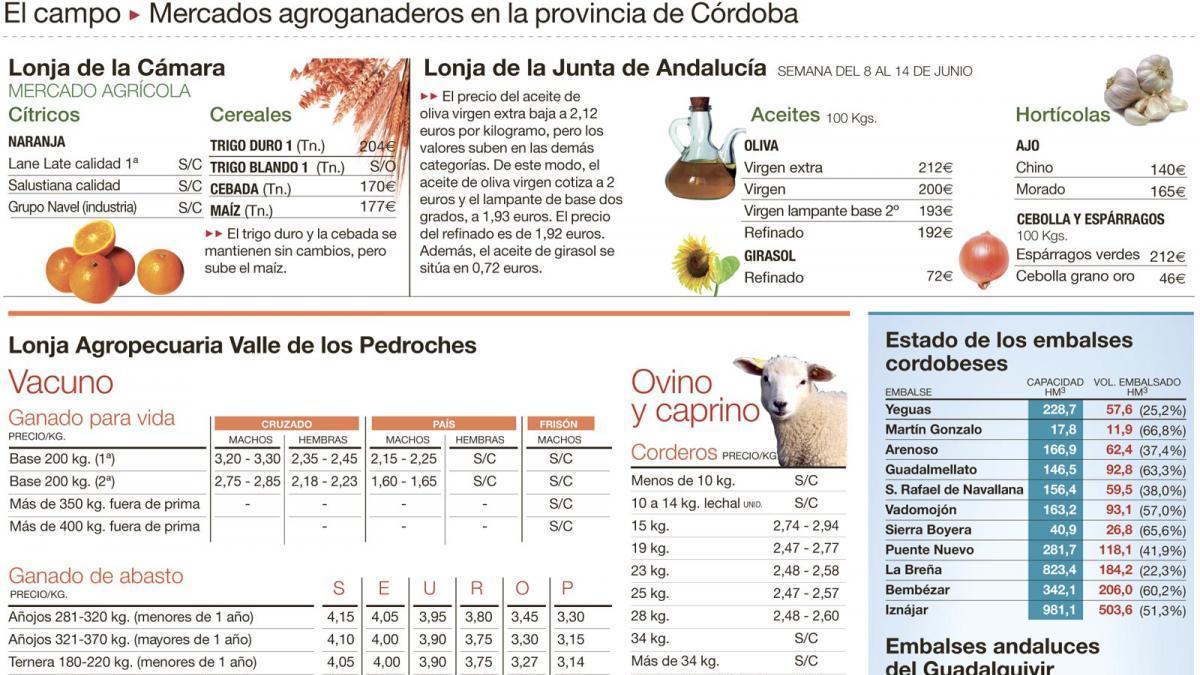 El trigo se encuentra prácticamente cosechado