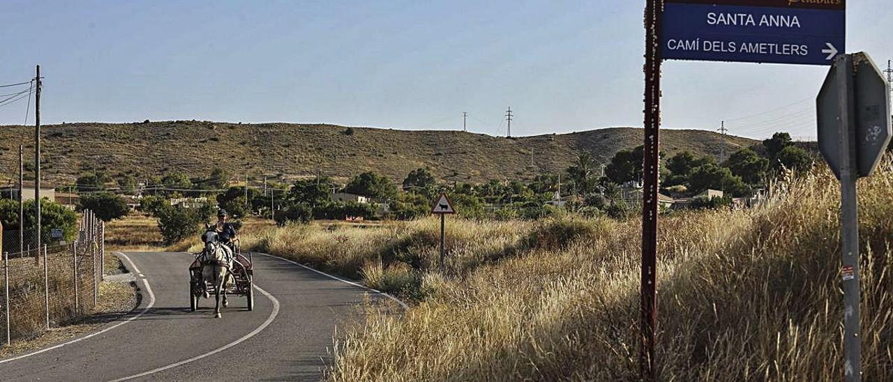 Una carreta tirada por un caballo circula por uno de los caminos de la pedanía de Santa Anna de Elche durante esta semana.