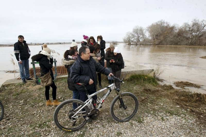 Fotogalería de la crecida del Ebro