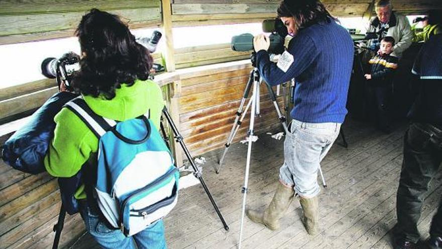 Mavea registra un aumento de visitas en Zeluán para avistar aves migratorias