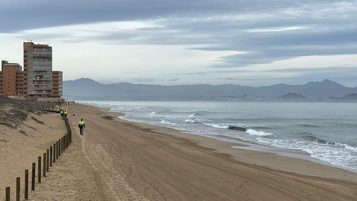 Playa de los Arenales en una imagen reciente.