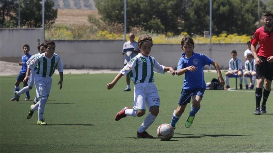 El Córdoba y el Séneca dan el primer golpe en alevines