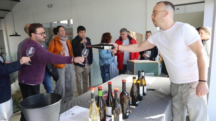 Despega Castes, la gran feria del vino de autor | NOÉ PARGA
