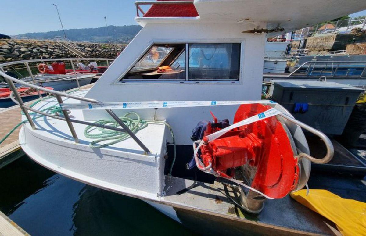 Un nuevo golpe contra el pulpo ilegal incauta más de 450 kilos en O Berbés