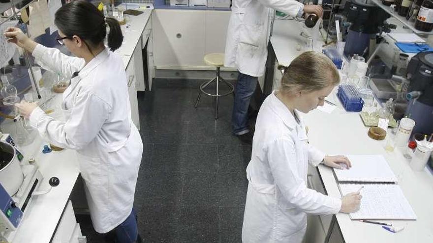 Varios investigadores en una facultad gallega.