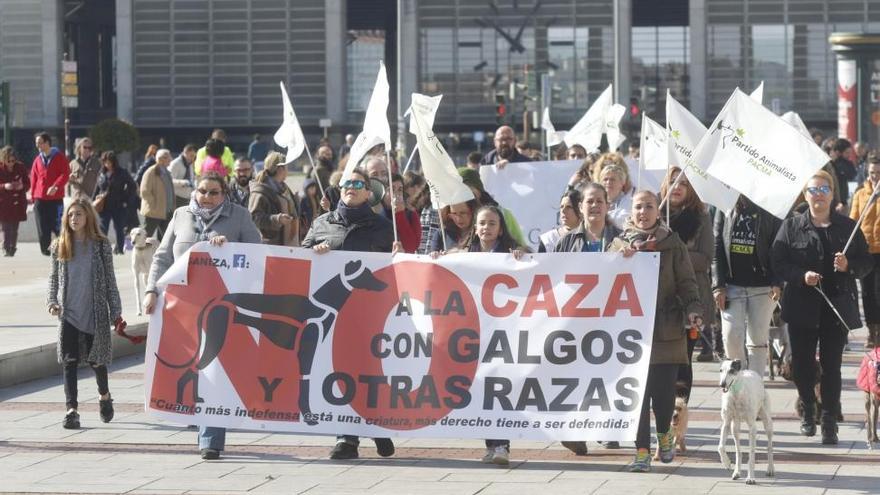 Protesta en Córdoba contra la caza con animales