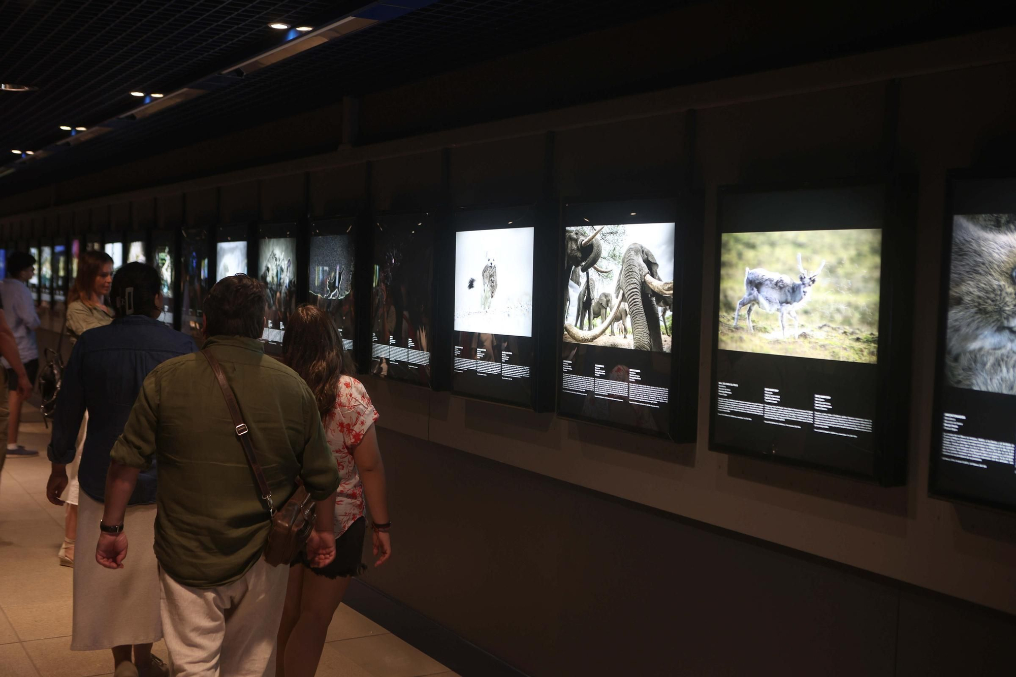 85 fotos forman parte de la exposición 'Fotógrafos na natureza' en el Aquarium