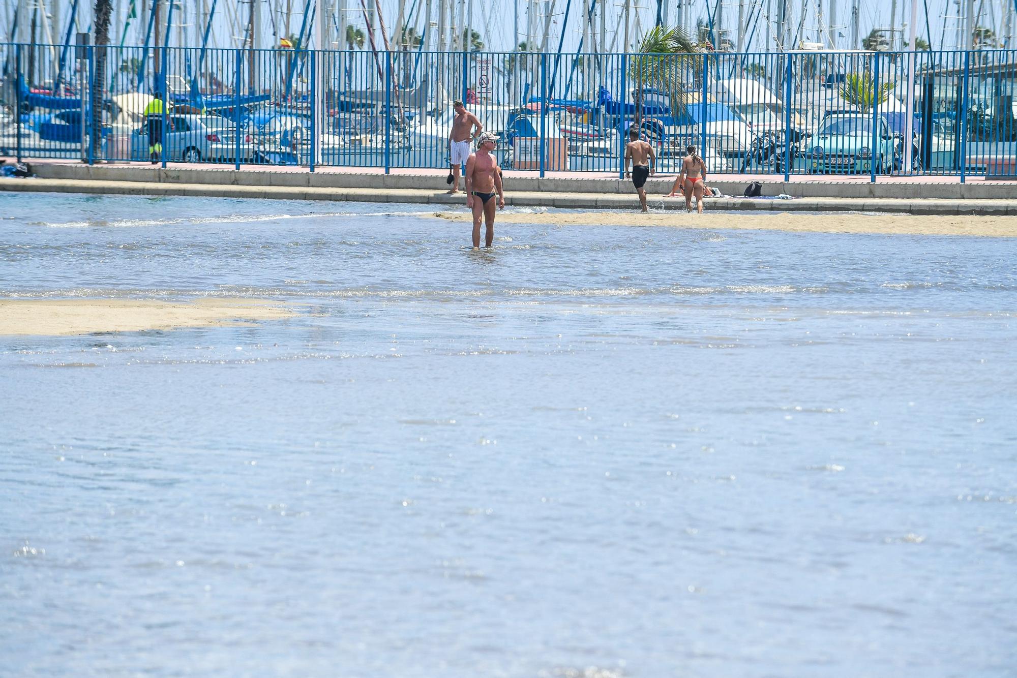 Mareas del Pino en las Alcaravaneras